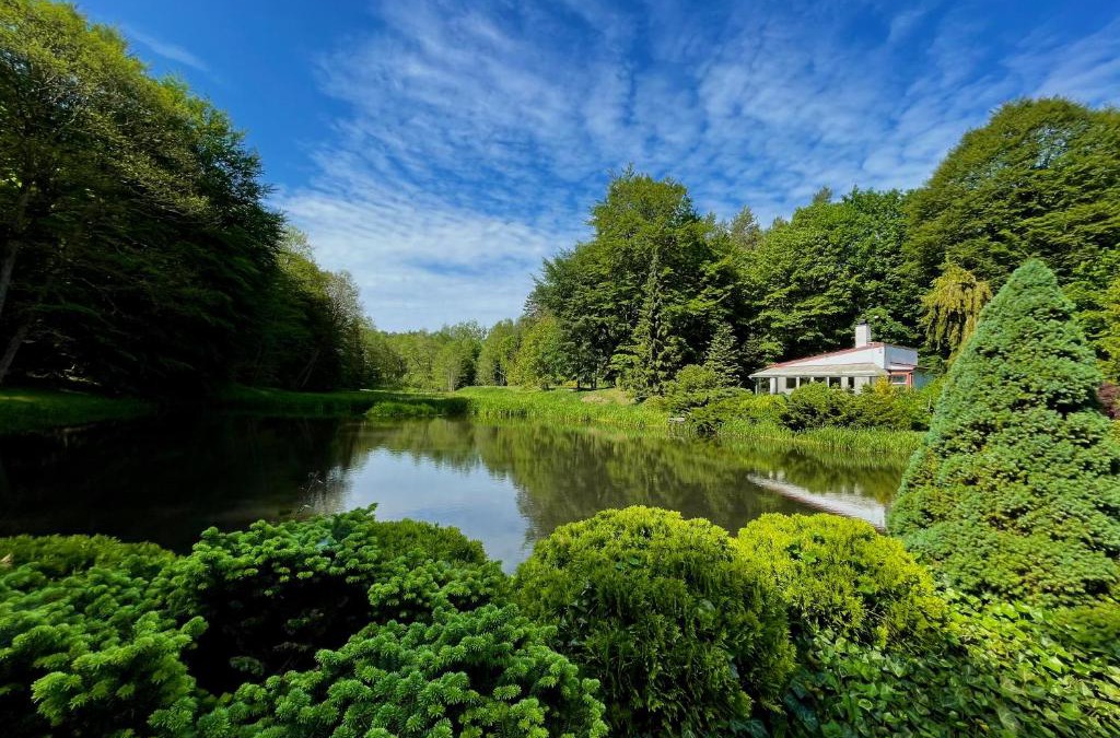 Kolczyglowy House | Domek w głębi lasu nad stawem