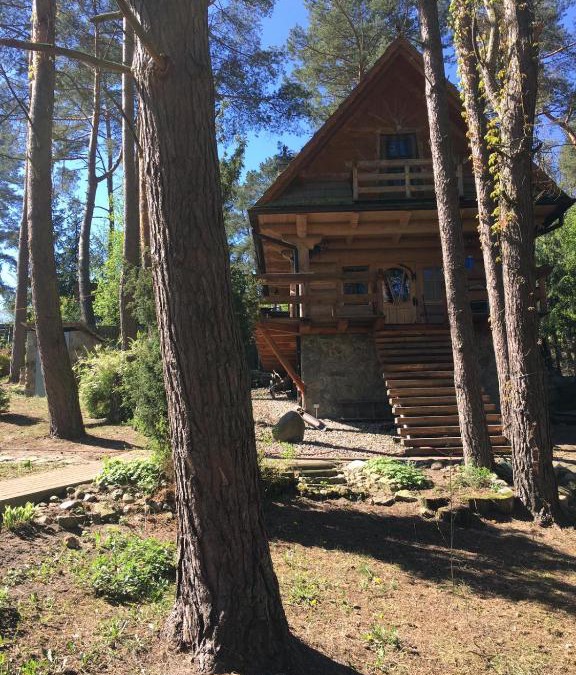 Tryszczyn Cabin | Domek z bali Tryszczyn nad Brdą