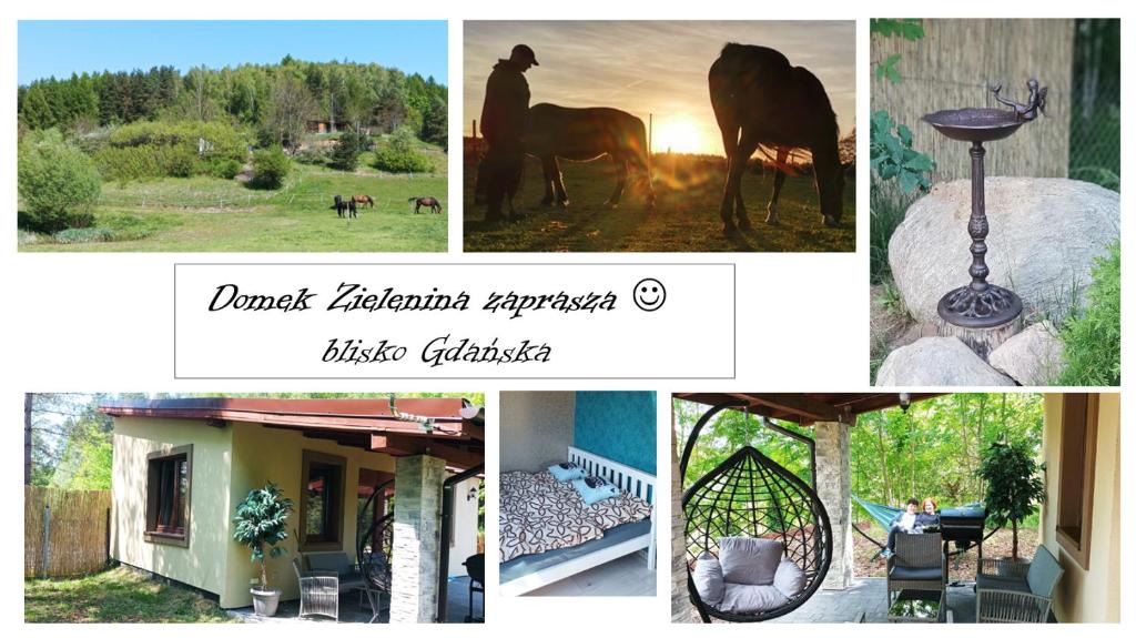 Trabki Wielkie House | Domek Zielenina