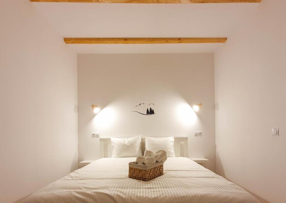 Vadu Izei House | Domeniul Acasa in Vadu Izei Maramu