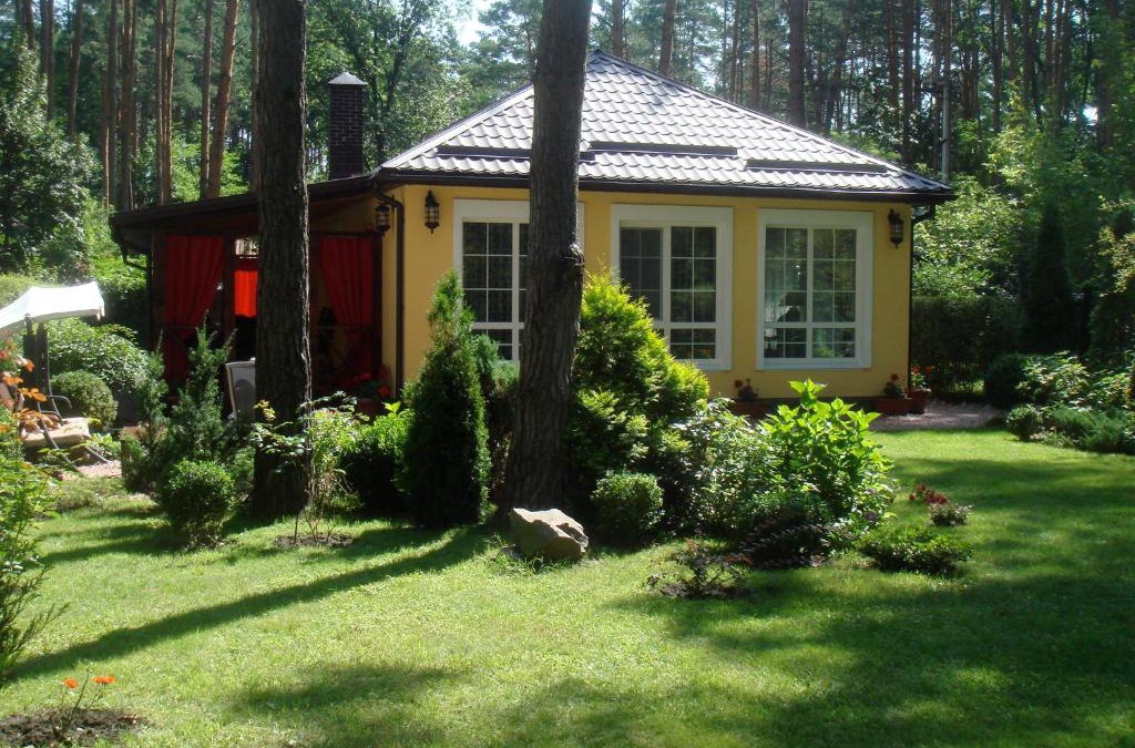 Lyutizh House | Domik v lesy