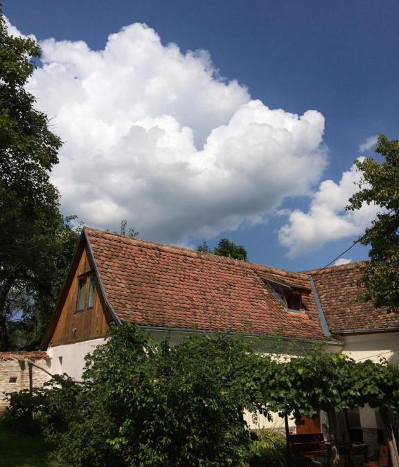 Cloasterf House | Dominic Boutique - Casa Mare