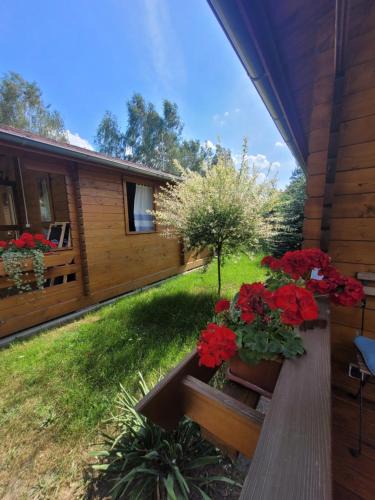 Trzebiel Cabin | Domki Family