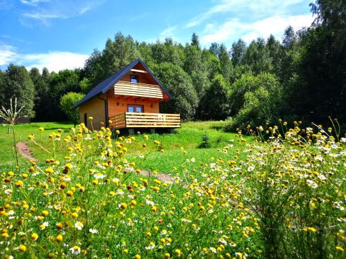 Nowa Ruda House | Domki w Bartnicy - Góry Sowie