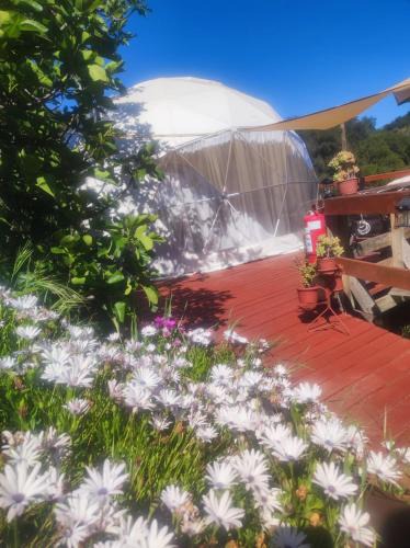 Olmue Other | Domo con Hot Tub Piscina Sauna Olmue