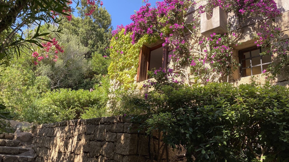 Abbiadori House | DOMUS OLIVARUM-Costa Smeralda NEW! 7 guest, 3 room, 2 bathroom, 2 PK, Wifi A/C