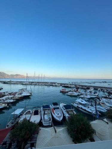 Scario Apartment | Donna Franca