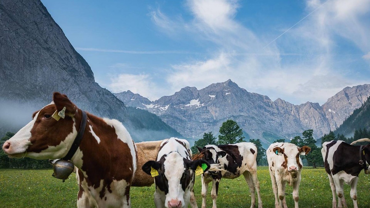 Eng Alm Cabin | Doppelzimmer - Angerer Hütte - Almdorf Eng Alm