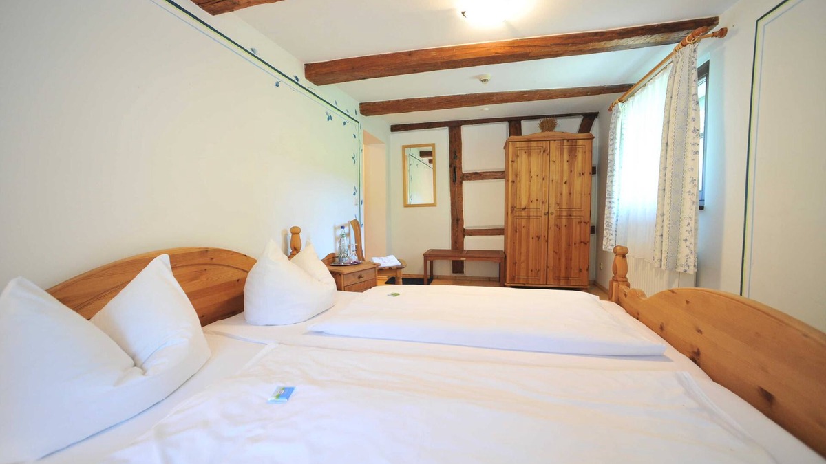 Rosenbach/Vogtl. House | Doppelzimmer - Blaues Zimmer - Gasthof Teichmühle