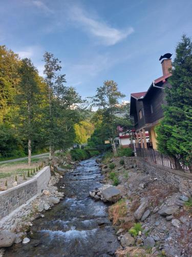 Cartisoara House | Dor de Munte Transfăgarasan