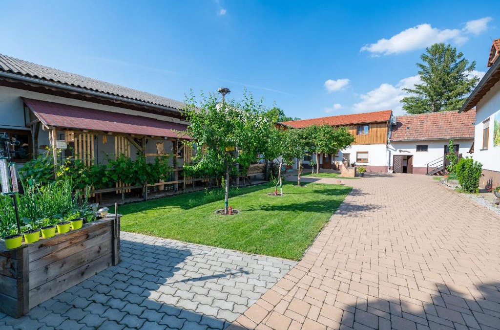 Apetlon House | Dorfzeit-Fleischhacker