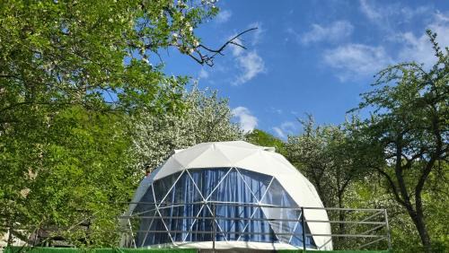 Bagvdanari Hotel | DOSHDOLI-დოშდოლი