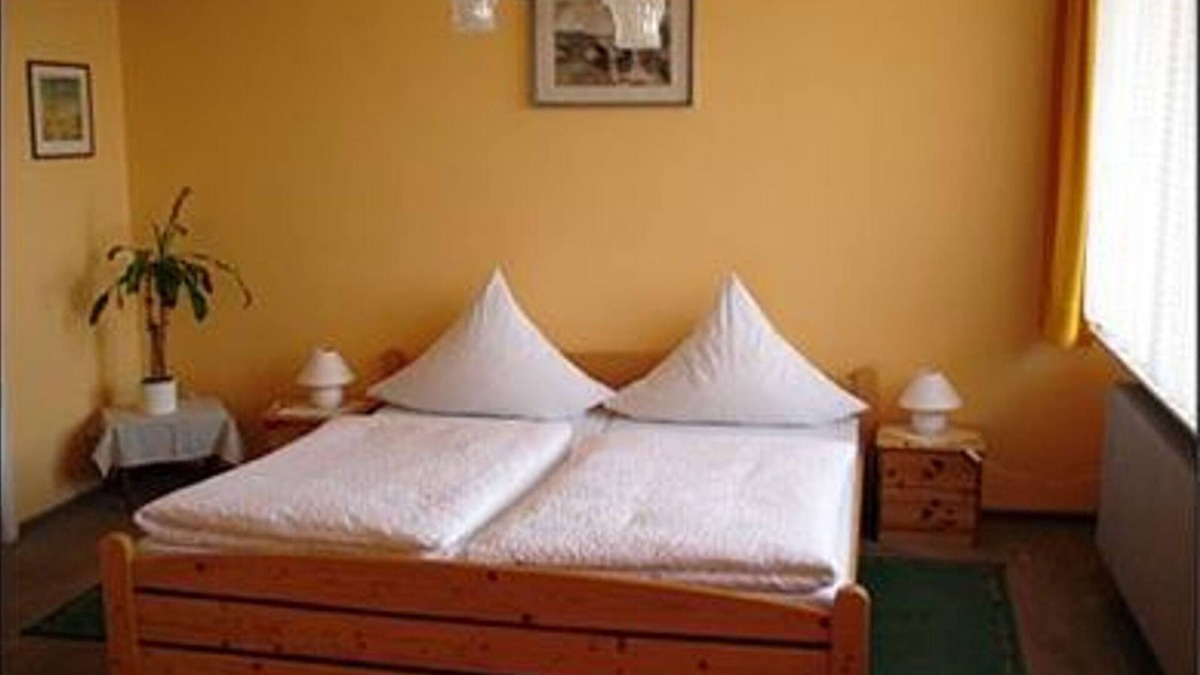 Neustadt-Haardt House | Double room 12, shower, toilet, 1 bedroom - Hotel Müller-Pressler