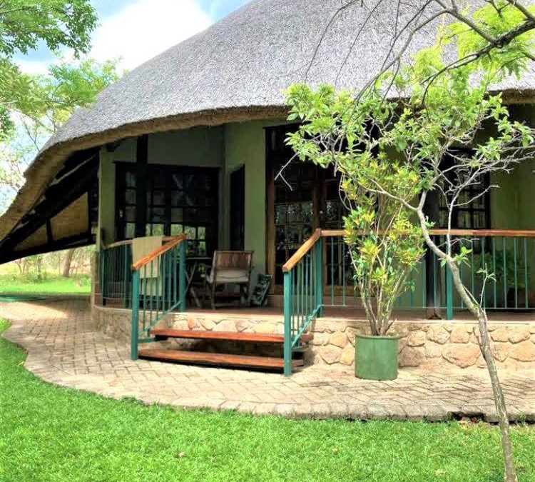 Bulawayo Apartment | Double lodge on natural African bush - 2112