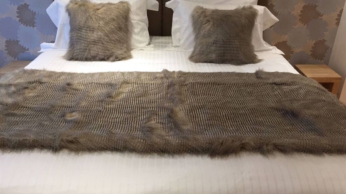 Glastonbury Bed & Breakfast | Double or Twin-Ensuite with Shower-The Spotted Owl