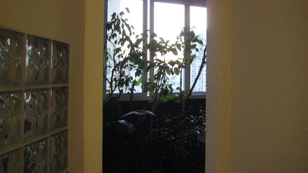 Lapa Apartment | DOUBLE ROOM IN ALTO DA LAPA IN RESIDENCE