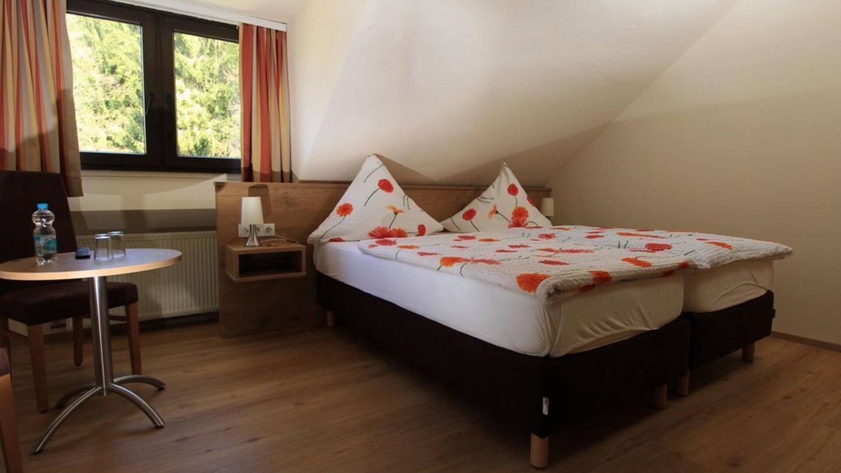 Wasserliesch House | Double room shower/WC - Cat. ECONOMY - Waldhotel Albachmühle
