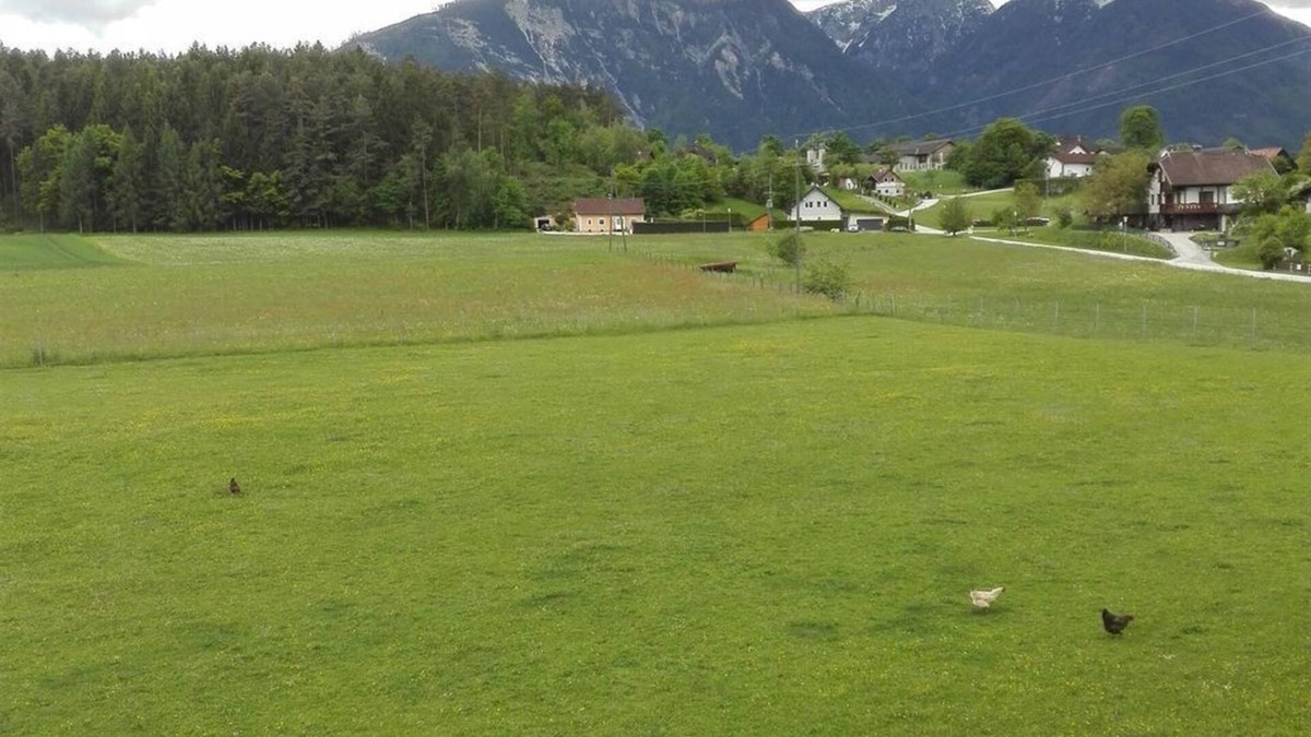 Sankt Primus Other | Double room small (II), D/WC, balcony - Bauernhof-Pension Puschnikhof