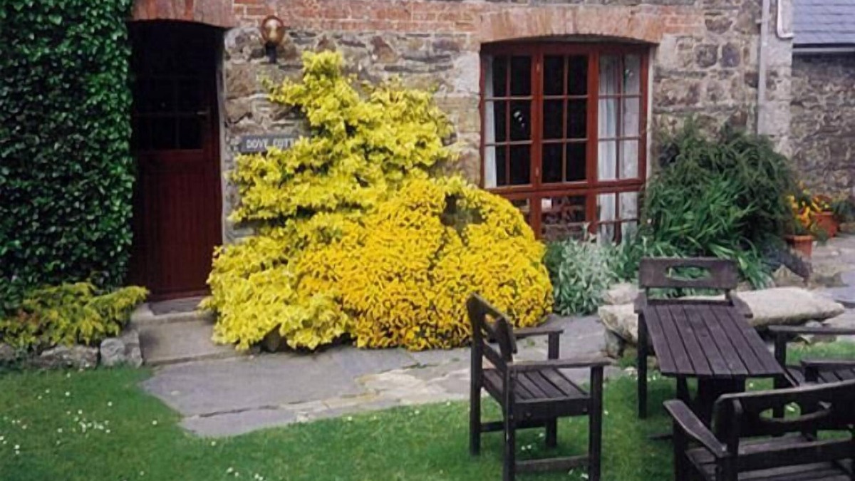 Chapel Amble Cottage | Dove Cottage, Homeleigh Farm