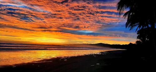 San Francisco de Coyote Apartment | Down By The Sea, the beachfront Apartment