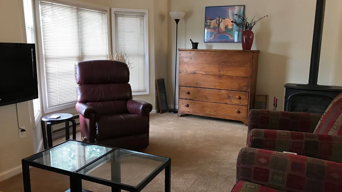 Crested Butte House | Downtown C B, Contemporary, Sunny 2BR, 2 BA, Stunning Views