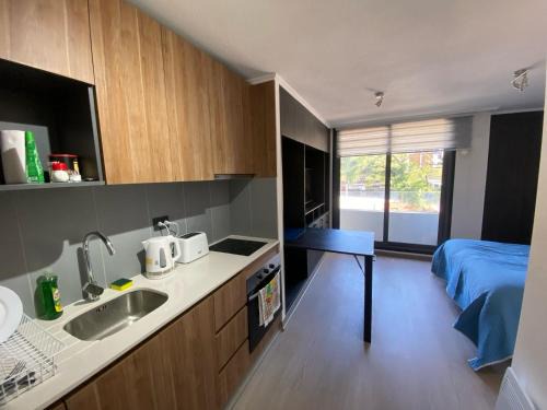 Concepcion Apartment | Dpto homestudio conce centro
