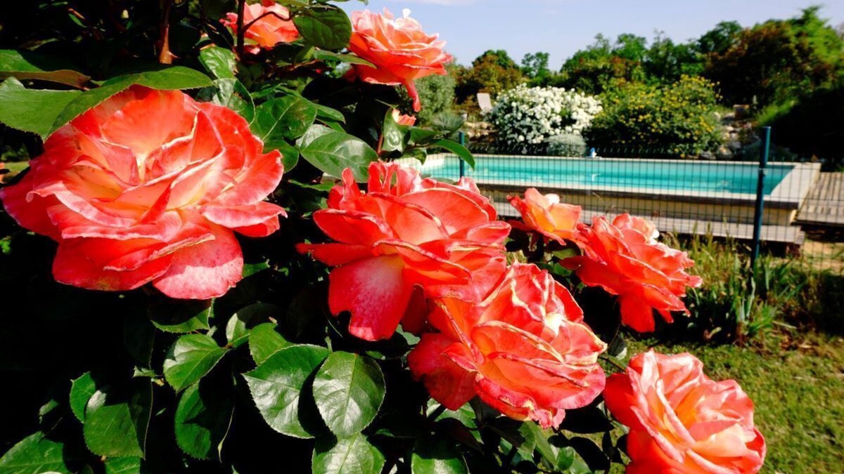 Allex House | Drôme, Gîte Dans Maison de Campagne, Terrasse et Piscine, pas de vis à vis