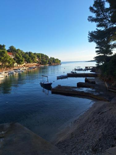 Cove Basina (Jelsa) Apartment | Dragana