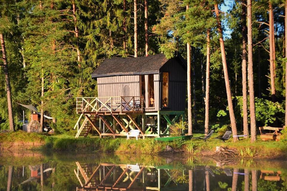 Pedvale House | Dragon house in the tree! Jacuzzi, Sauna ,Cinema,Heated