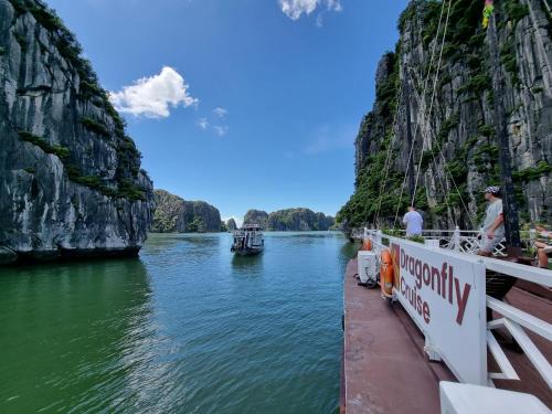 French Quarter Boat Rental | dragonfly cruise
