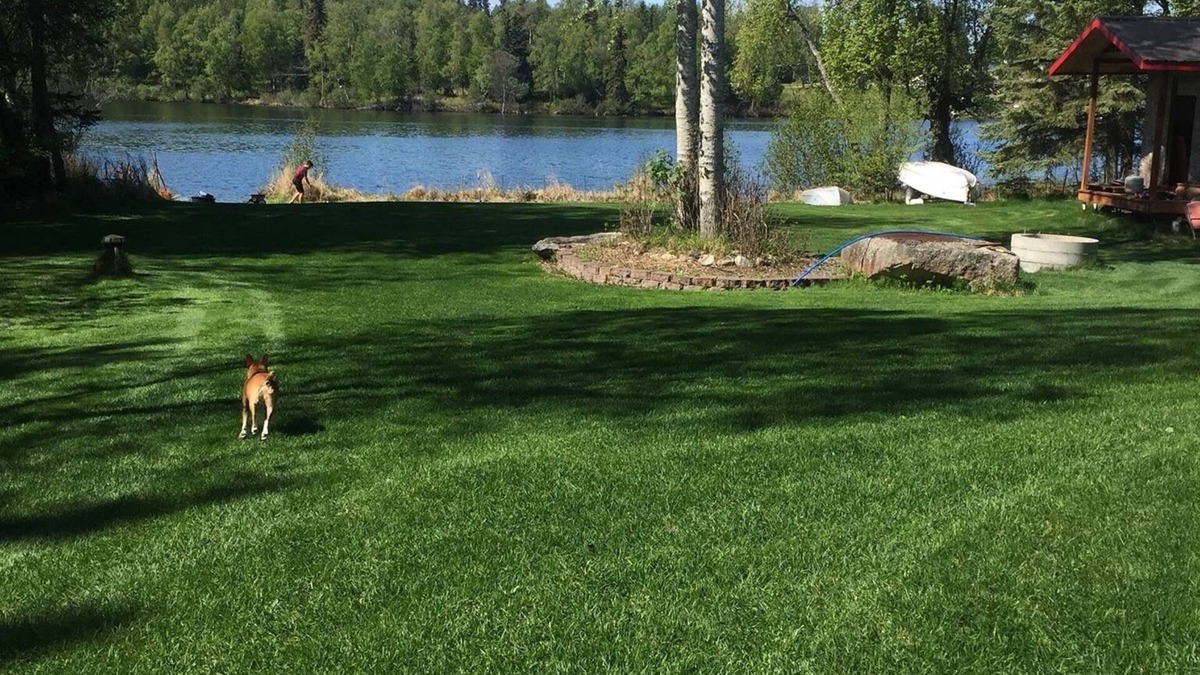 Nikiski House | Dragonfly on the Lake Alaska 1, You won’t forget your stay! Sauna, Fishing, more