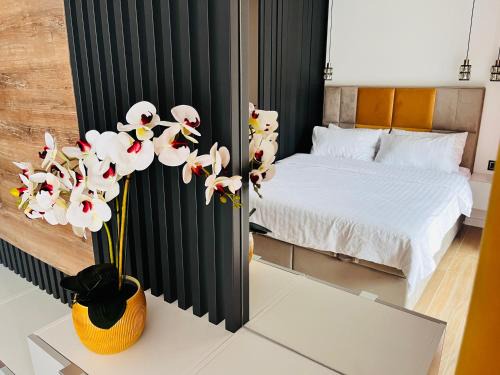 Radom Apartment | Drahan Apartment 35
