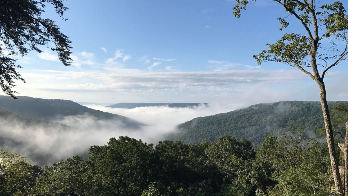 Clifftops House | Dramatic Mountain View Within Minutes from Sewanee