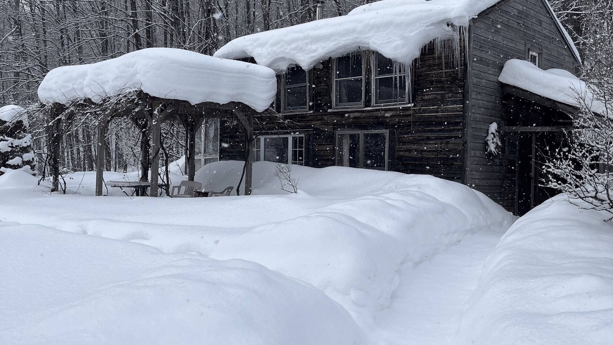 Hyde Park Cabin | Dream Cabin in charming Hyde Park with WiFi access