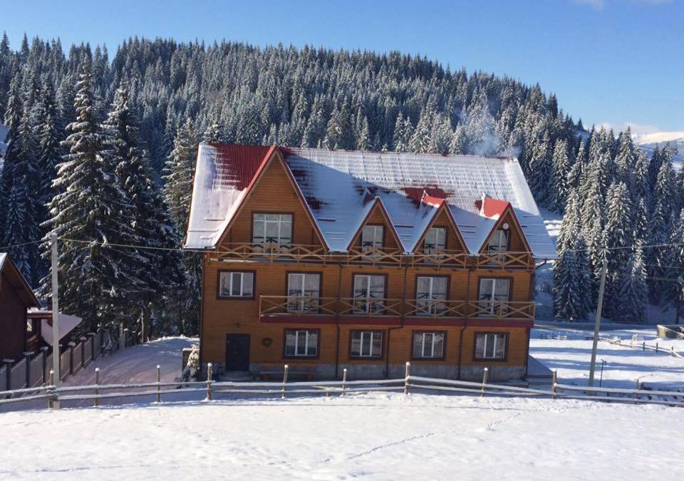 Yablunytsya House | Dream House