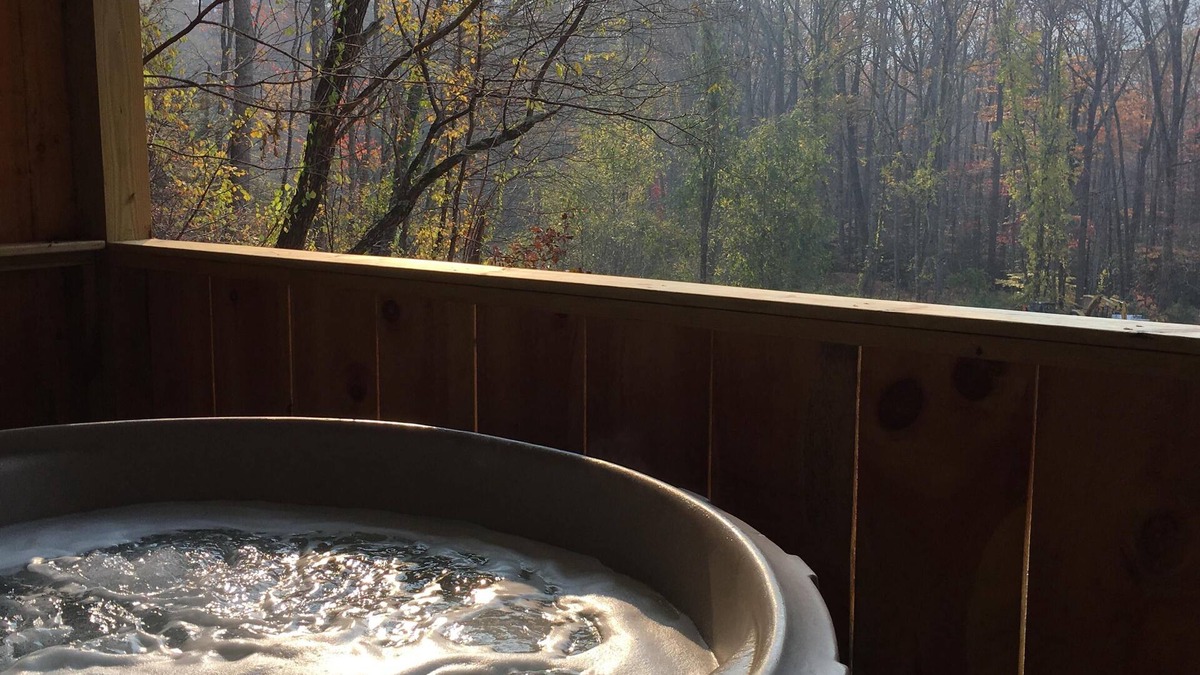 Candler Cabin | Dreamin Hollow Great Stargazing-Hot Tub, Fireplace, Romantic,WiFi, Pet Friendly