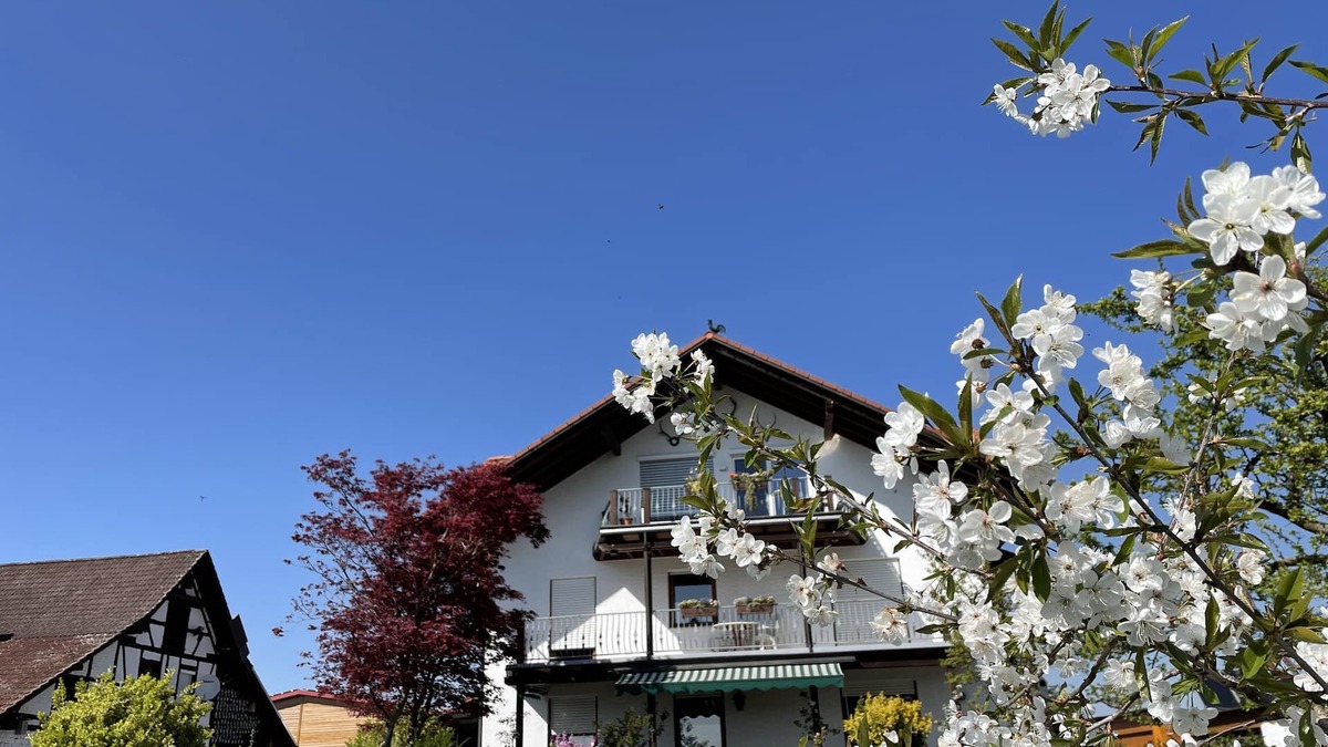 Waggershausen Apartment | Dreamlike estate on Lake Constance - a sustainable vacation dream with a view of the Alps