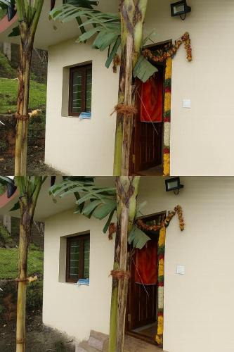 Kodaikanal Resort | Dreamy Wonders House