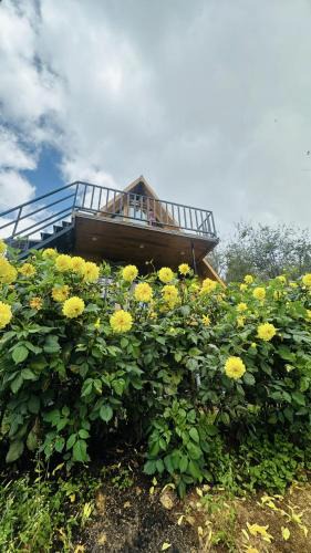 Kodaikanal Other | Dreamy Wonders Resorts