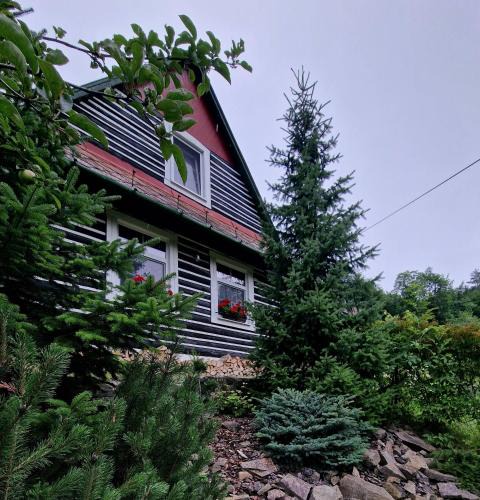 Raztocno Ski Chalet | Drevenica Remata