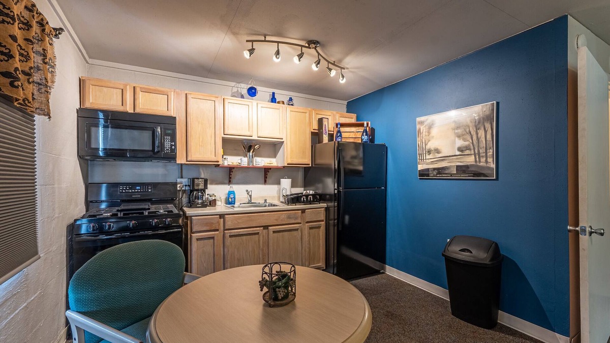 Summersville Apartment | Driftwood Suite at Lake Sometimes