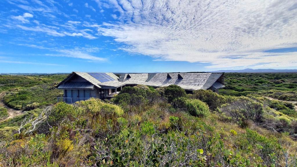 Paradise Beach Villa | Driftwoods- Eco Beach Bush Retreat