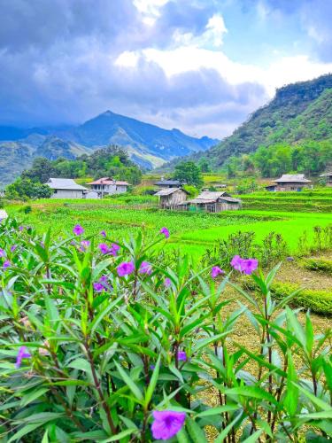 Yen Minh House | Du Già Family Homestay & Coffee