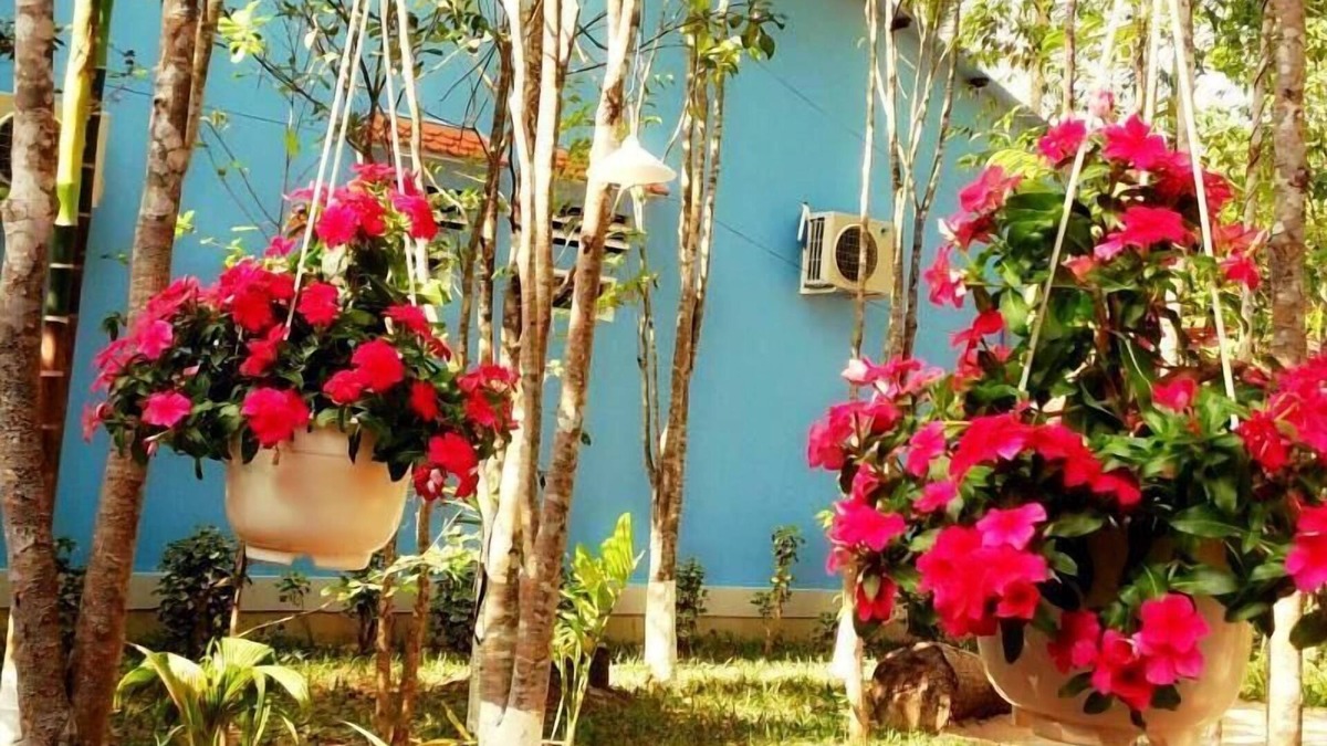 Cua Lap House | Duc Anh Garden Homestay