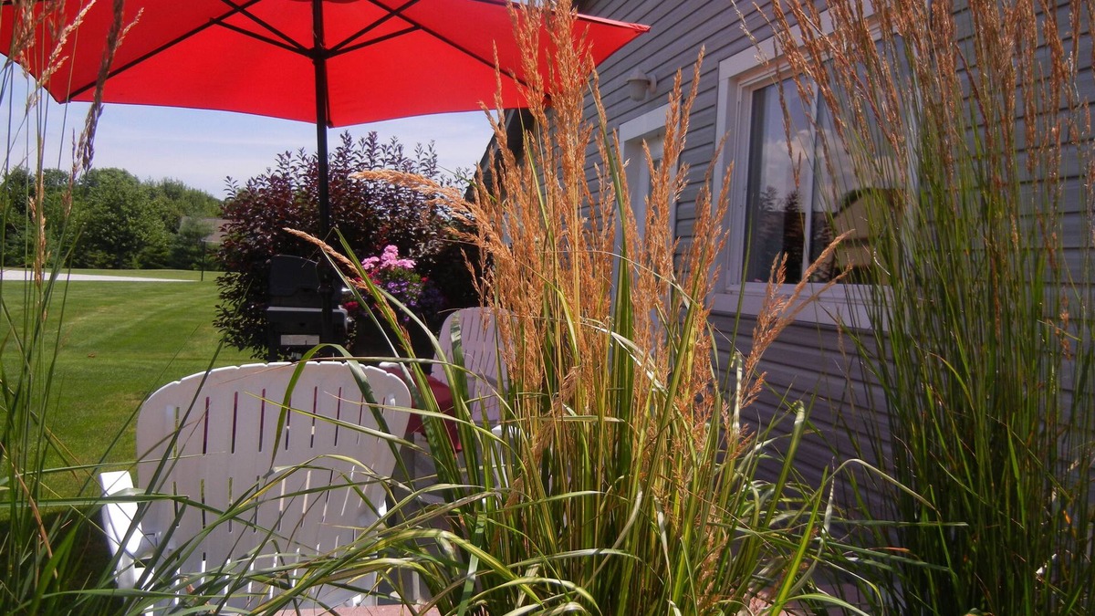 Leamington Cottage | Duck Pond Bed & Breakfast Cottage