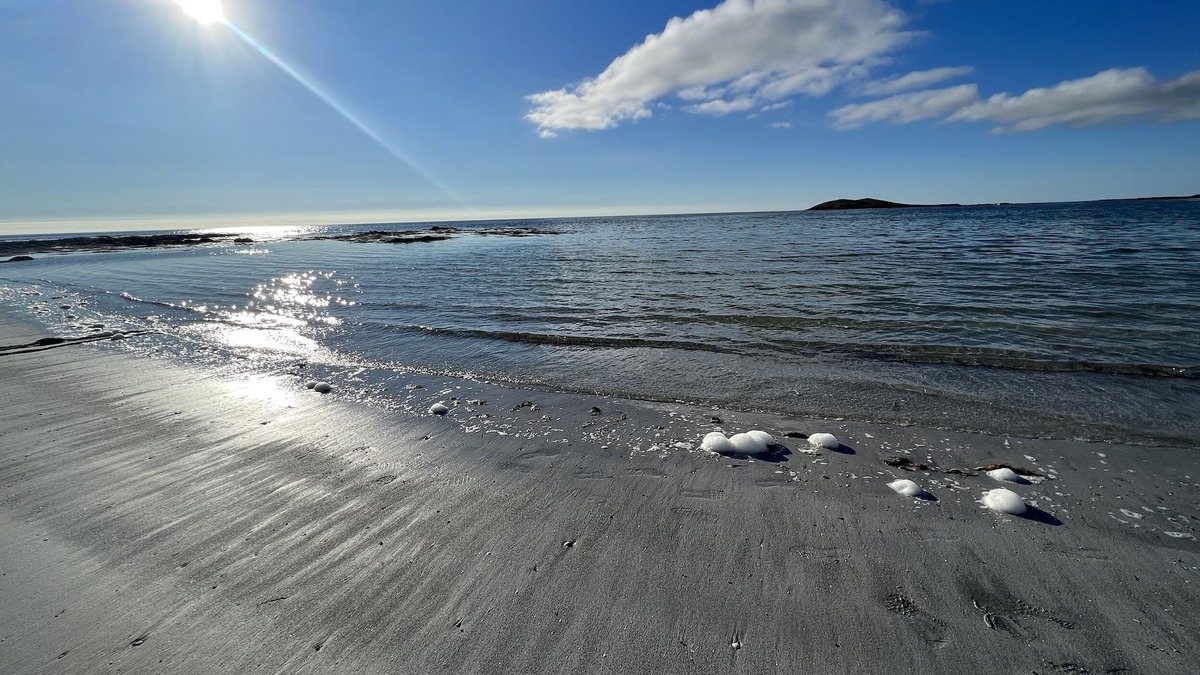 Aisgernis Cottage | Dun Buidhe