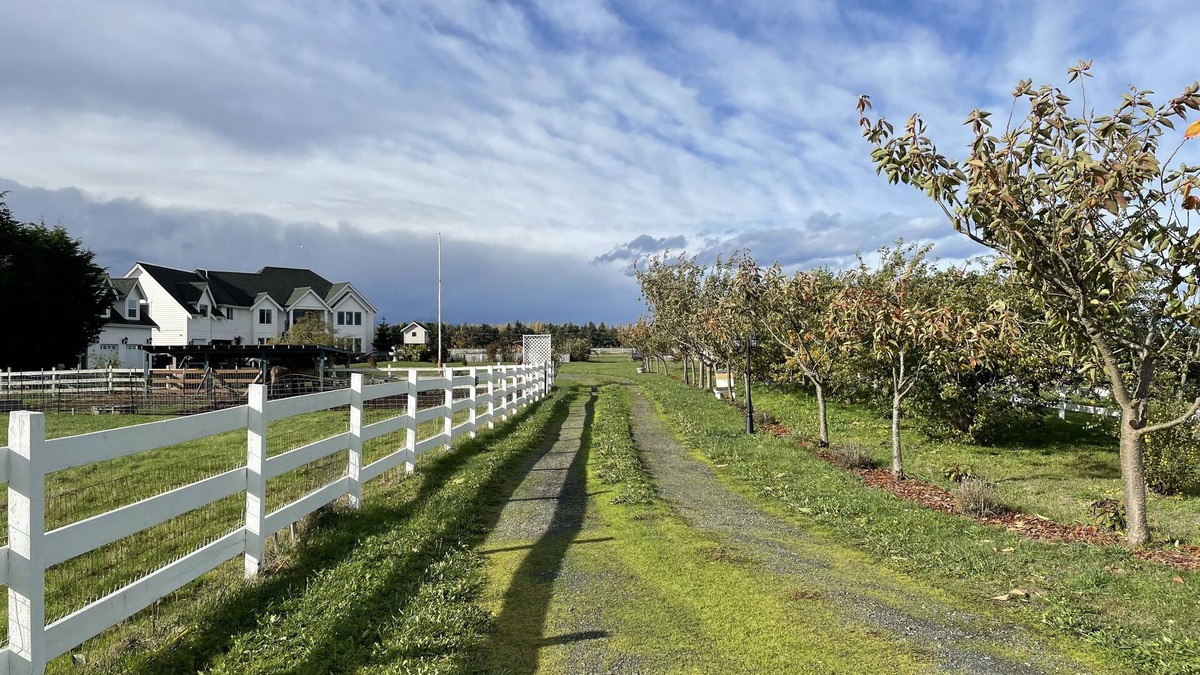 Sequim Apartment | Dungeness Manor in the Heart of the Dungeness Valley