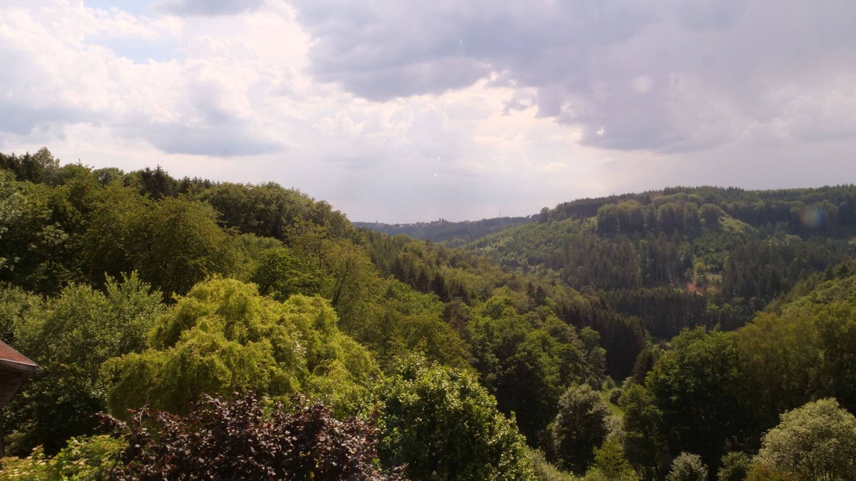 Lambach Apartment | Duplex apartment, large terrace, Parc Naturel des Vosges du Nord