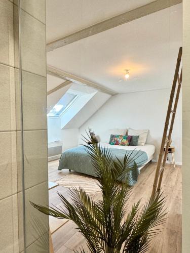 Wahlbach Apartment | Duplex Mangrove