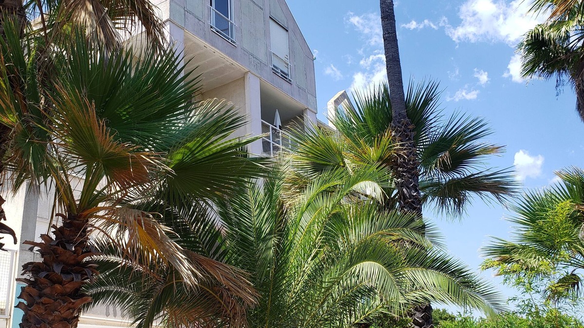 Canale-di-Verde Apartment | Duplex vue Mer, au Calme au Milieu D'un Jardin, à 150m de la Plage à Pieds